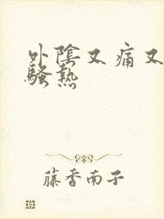 外阴又痛又痒还骚热