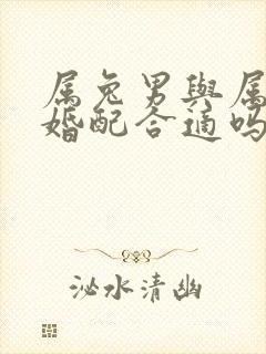 属兔男与属猴女婚配合适吗