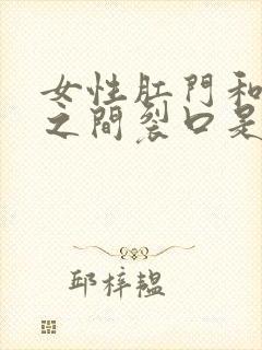 女性肛门和阴道之间裂口是怎么回事