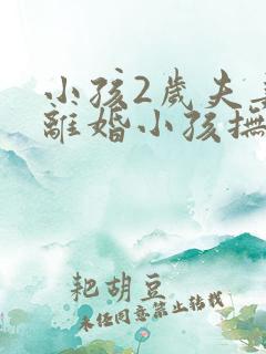 小孩2岁夫妻要离婚小孩抚养权归谁呢