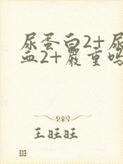 尿蛋白2+尿隐血2+严重吗