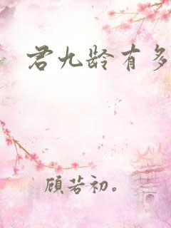 君九龄有多少集