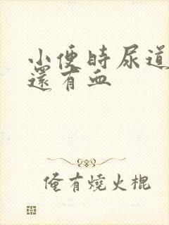 小便时尿道刺痛还有血