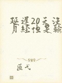 延迟20天没来月经但是验孕棒显示没怀孕