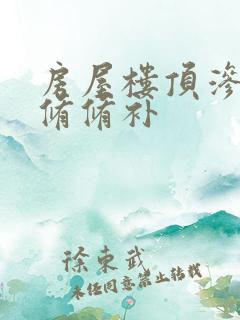 房屋楼顶渗水维修修补