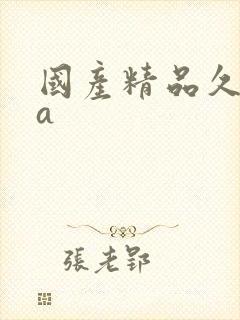 国产精品久久久a