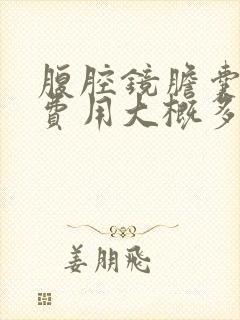 腹腔镜胆囊手术费用大概多少钱