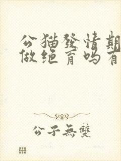 公猫发情期可以做绝育吗有影响吗