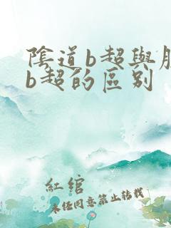 阴道b超与腹部b超的区别