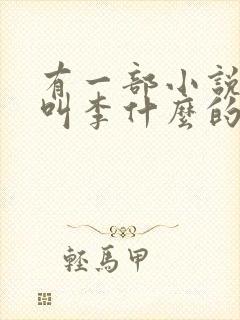 有一部小说主角叫李什么的