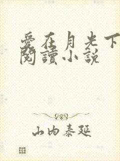 爱在月光下全文阅读小说