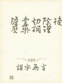 胆囊切除后吃什么药调理