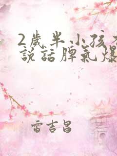 2岁半小孩不会说话脾气爆