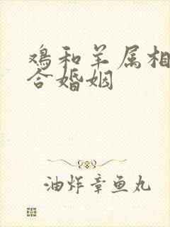 鸡和羊属相合不合婚姻