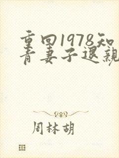 重回1978知青妻子退亲小说叫什么