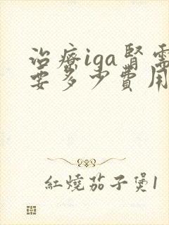 治疗iga肾需要多少费用