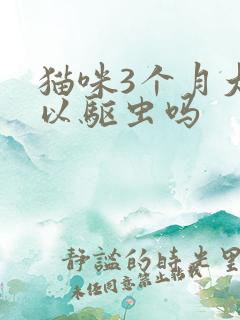 猫咪3个月大可以驱虫吗