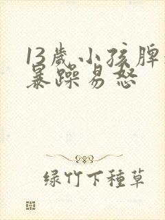 13岁小孩脾气暴躁易怒