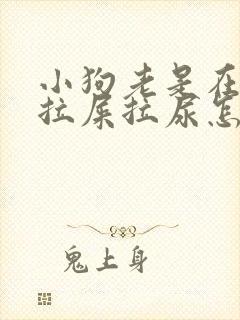 小狗老是在家里拉屎拉尿怎么办