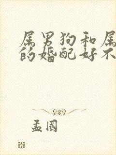 属男狗和属牛女的婚配好不好