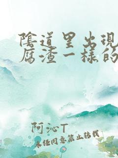 阴道里出现像豆腐渣一样的分泌物