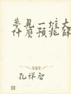 梦见一堆大便是什么预兆解梦