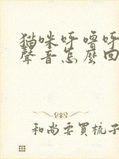 猫咪呼噜呼噜的声音怎么回事