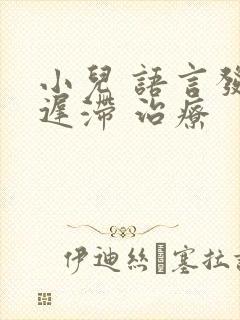 小儿 语言发育迟滞 治疗