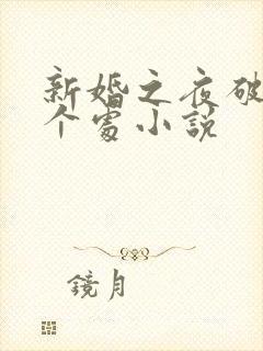 新婚之夜破了两个处小说