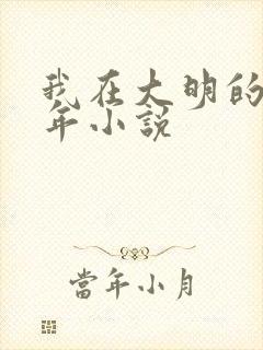 我在大明的那些年小说