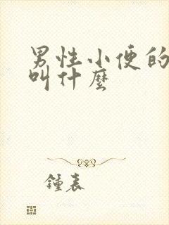 男性小便的地方叫什么