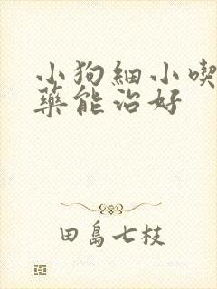 小狗细小吃什么药能治好