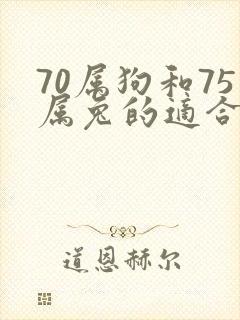 70属狗和75属兔的适合做夫妻吗