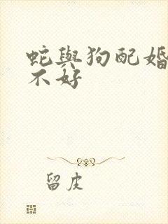 蛇与狗配婚姻好不好