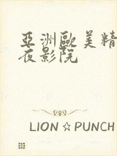 亚洲欧美精品午夜影院