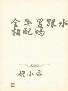 金牛男跟水瓶女相配吗