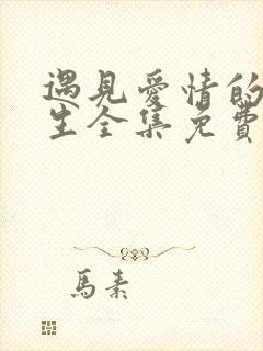 遇见爱情的利先生全集免费观看