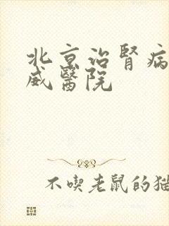 北京治肾病的权威医院