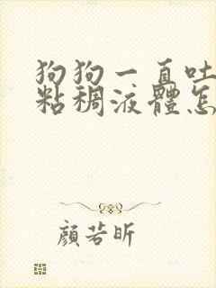 狗狗一直吐黄色粘稠液体怎么办