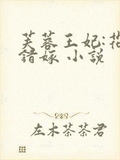 芙蓉王妃:花轿错嫁 小说