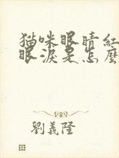 猫咪眼睛红肿流眼泪是怎么回事