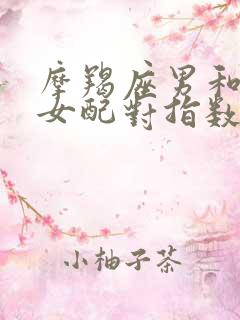 摩羯座男和水瓶女配对指数