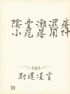 阴囊潮湿瘙痒有小疙瘩用什么药膏