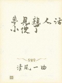 梦见亲人活了还小便了