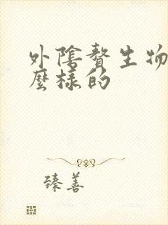 外阴赘生物是什么样的