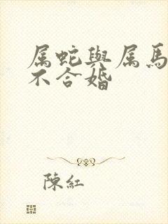 属蛇与属马的合不合婚