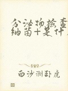 分泌物检查加德纳菌+是什么意思