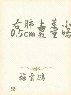 右肺上叶小结节0.5cm严重吗