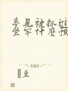 梦见被抓进监狱坐牢什么预兆