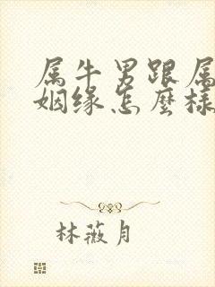 属牛男跟属鼠女姻缘怎么样